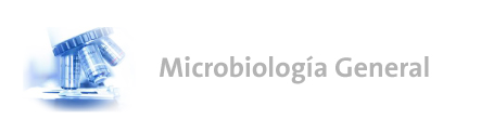 Logo Microbiología Celular y Molecular (MicroMol)